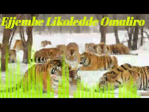 Ejjembe Likoledde Omuliro Namuzinda