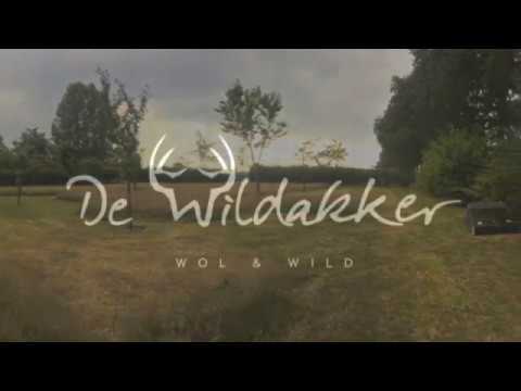 de wildakkerTV