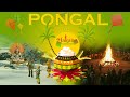 Pongal Interesting Facts Importance पोंगल Makar Sankranti मकर संक्रां�