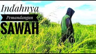 Download lagu Menikmati indahnya Pemandangan Sawah l Video sinematik l Film pendek Sinematik. mp3