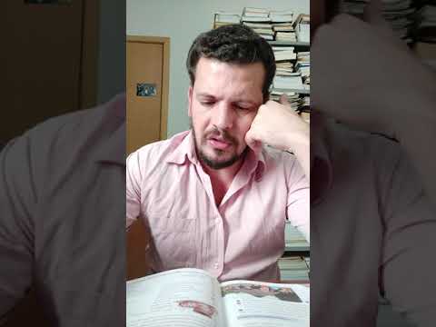 O horizonte do mar: A festa na aldeia; Oreru orembó e katu: Nosso pai e mãe; Nande reko arandu