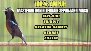 Download lagu KONIN GACOR AMPUH BUAT TERAPI KOLIBRI NINJA AGAR IKUT GACOR mp3 Download lagu KONIN GACOR AMPUH BUAT TERAPI KOLIBRI NINJA AGAR IKUT GACOR mp3