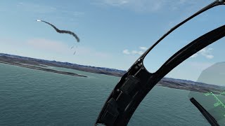 Real Viper Hours: Goofing in the Seagull
