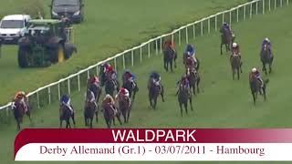 Video  de 1/80 WALDPARK #5