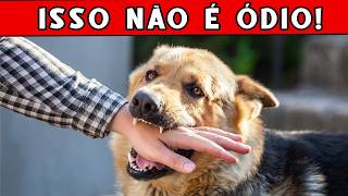 INACREDITÁVEL: Se seu cachorro morde sua mão É ISSO que significa!