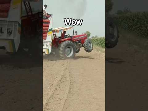 Massey Ferguson 385 4x4 powerful performance at trolley #farming