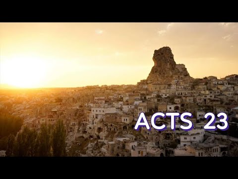 ACTS 23 NIV AUDIO BIBLE
