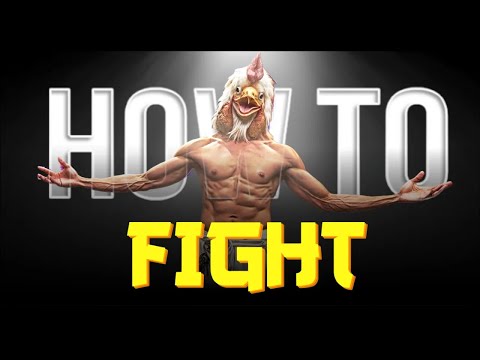 How to Fight 🐣🐔