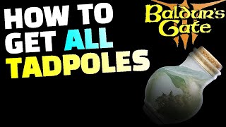 Baldurs Gate 3: How To Get EVERY Tadpole In Act 1, Secret Ones Included!