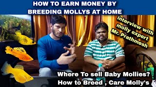 How to earn money from breeding Mollyfish at Home, Feat. @PrathmeshAquaticsInHindi