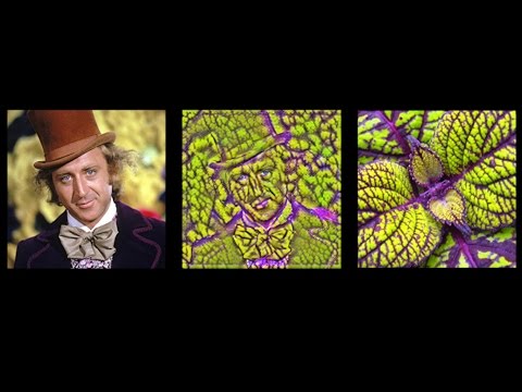 TensorFlow Tutorial #15 Style Transfer