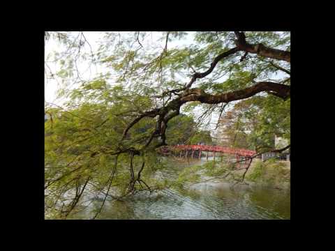 Níu bước thu đi - Đức Quang