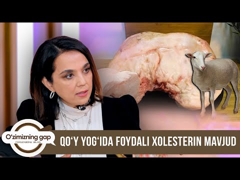 Qo'y yog‘ida foydali xolesterin mavjud | O'ZIMIZNING GAP