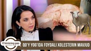 Qo'y yog‘ida foydali xolesterin mavjud | O'ZIMIZNING GAP