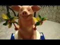 GEICO Maxwell The Pig Commercial Weee Weee Weeeeeeeeeeeeeee