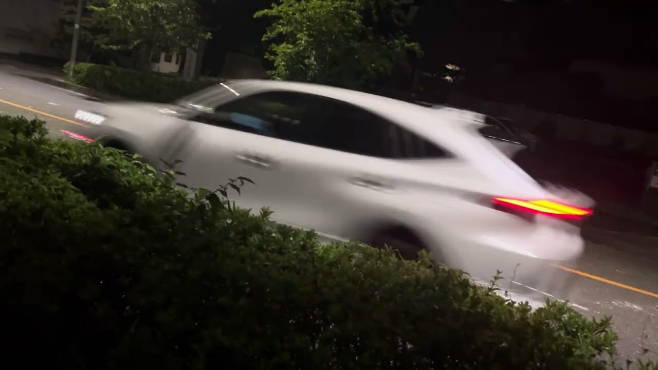 The way home and nature