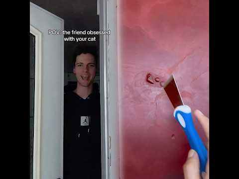 Obsessed 😺  #cat #cats #catsofinstagram #catsoftiktok #funnycats #catsofyoutube #catlover