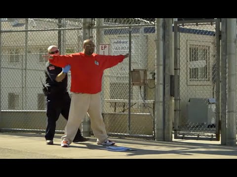 Meet John Fitzpatrick