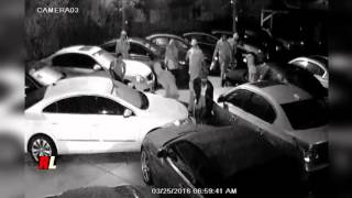 Gang Swarms In And Steals Several Cars