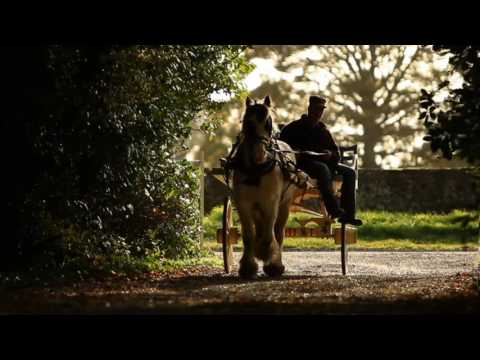 Tommy Doran The Street Singer - My Danny Died