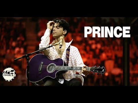 Prince & the NPG - [2004.04.17] Musicology 2004ever in Cleveland, Ohio/ NPG Vandals