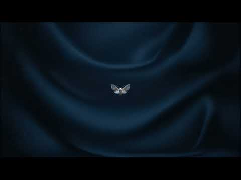 Maexst - Moth (ft. Serje) [Lyrics Visualizer]