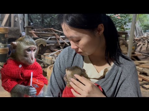 Tears fell when Nahu stopped his playfulness to share my heavy heart.