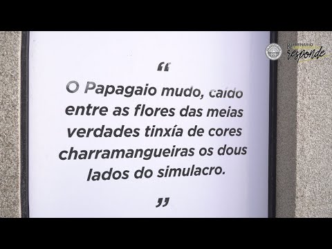 Vídeo: O Papagaio