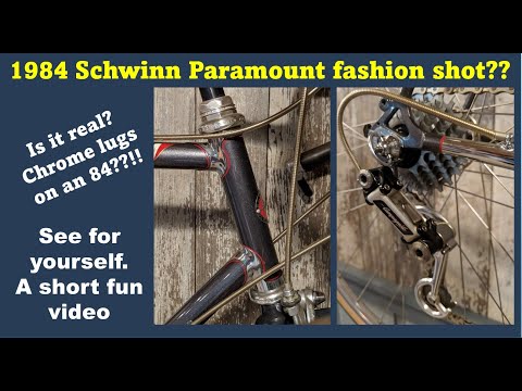84 Schwinn Paramount beautiful details bicycle collection.