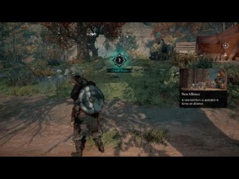 What was this cutscene    im confused