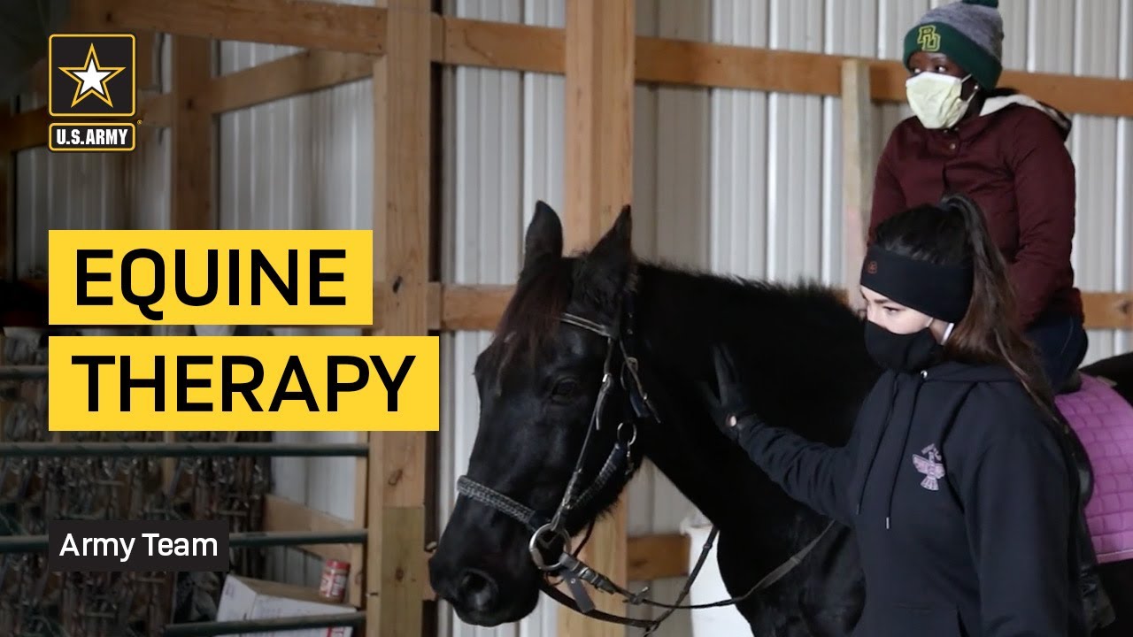 Behavioral Health Team Discusses Equine Therapy