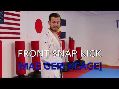 Lesson 2 - Cardio warm up. Mae Geri front kick. Reaction drills. All levels.