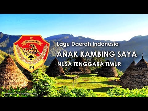 Anak kambing saya lagu daerah ntt karaoke dengan lirik