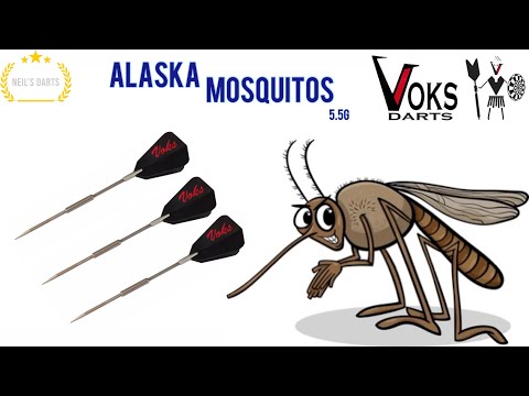 Voks Alaska Mosquitos 5.5G Darts Review