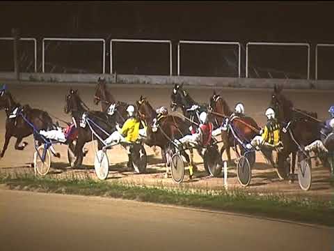 Trotto 28/10/2018 - 7ª corsa