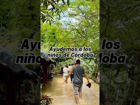 Donaciones: 966-000052-59 Bancolombia Ahorros