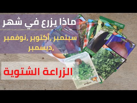 ماذا يزرع في شهر سبتمبر اكتوبر نوفمبر ديسمبر الزراعة الشتوية