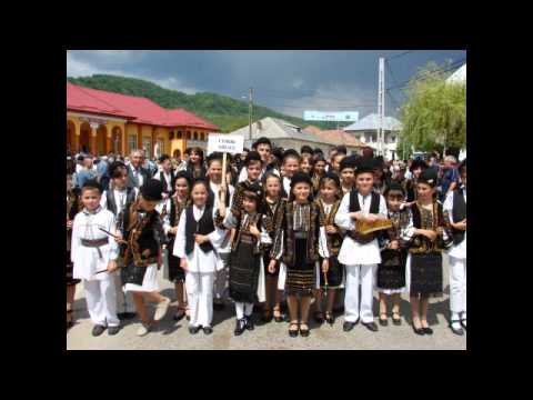 Zamfir Adelina  satul meu de la munte