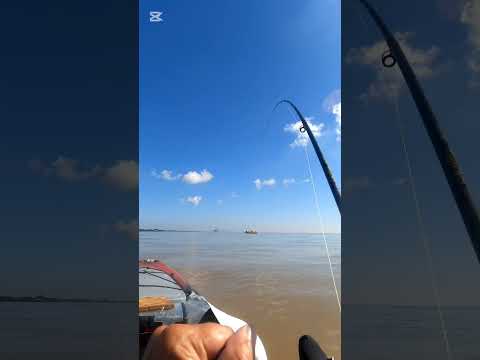 Pesca de bagre porteño  en el río de la plata,  quilmes en kayak.