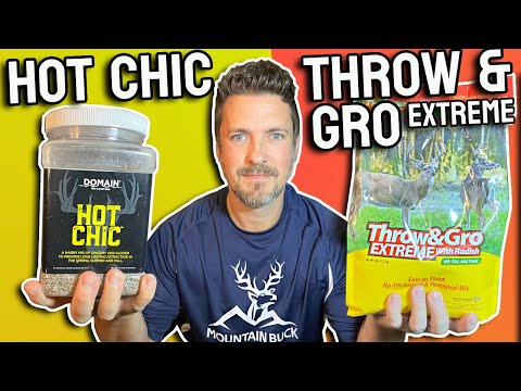 Hot Chic vs. Throw & Gro Extreme: Deer Choose Which is BEST! Domain Outdoor or Evolved No Till Plot