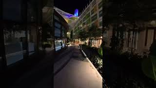 Star of the Seas Deck 8: Breakfast, Lunch & Al Fresco Dining at Park Cafe! #shorts