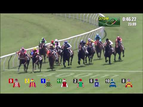 8/5/2021 (652) Eligere - Z Purton