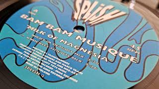 Bam Bam Musique – Milk Of Magnesia (Night In Detroit Mix)
