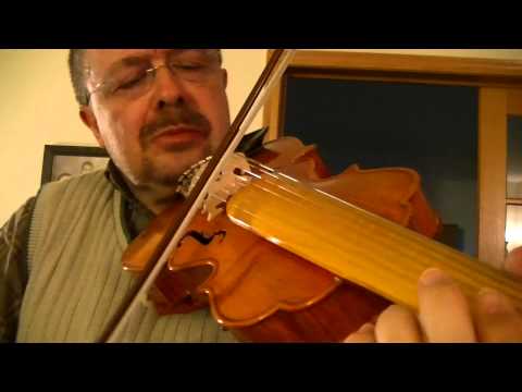 Willard Losinger performing "Cripple Creek" on the Viola d'Amore 2015-04-22