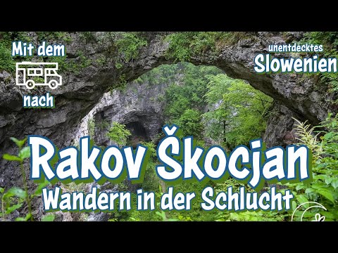 Die Schlucht von Rakov Škocjan - Wandern in einer eingestürzten Höhle - Slowenien mit dem Wohnmobil
