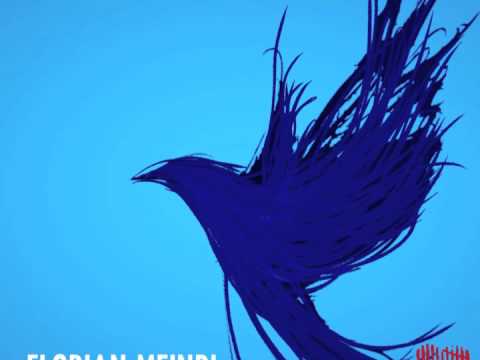 Florian Meindl - Desert Falcon (Herzblut 029)