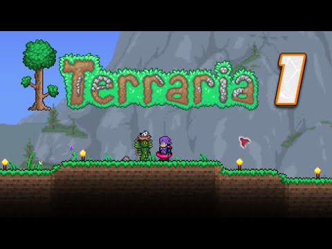 Unbelievable Secrets of Mastering Terraria in 2024