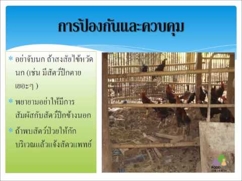 ความแรงจากเครื่องดื่มแอลกอฮอล์ ไม่ว่าจะเป็นไปได้ที่จะเพิ่มสมาชิกดึง