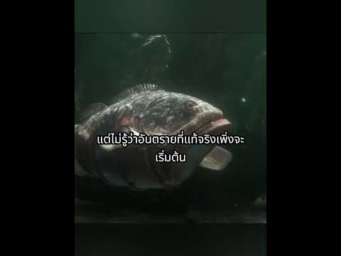 🐋🗑️ โลกอนาคต สัตว์ต้องหลอมรวมกับขยะ เพื่อเอาชีวิตรอด ⚙️🌊