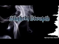 Slightly Stoopid | Babylon Is Falling | BEST QUALITY | LYRICS KARAOKE VIDEO